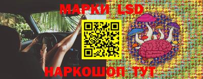 молекула духа Пугачёв