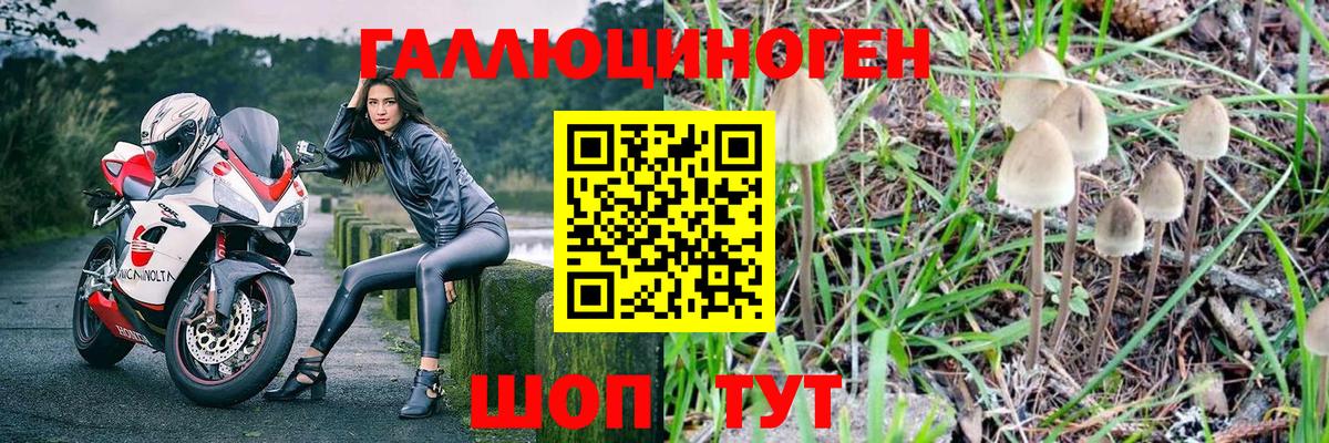 Аша  Псилоцибиновые грибы ЛСД  Вход с VPN  Галлюциногенные грибы мухоморы 
