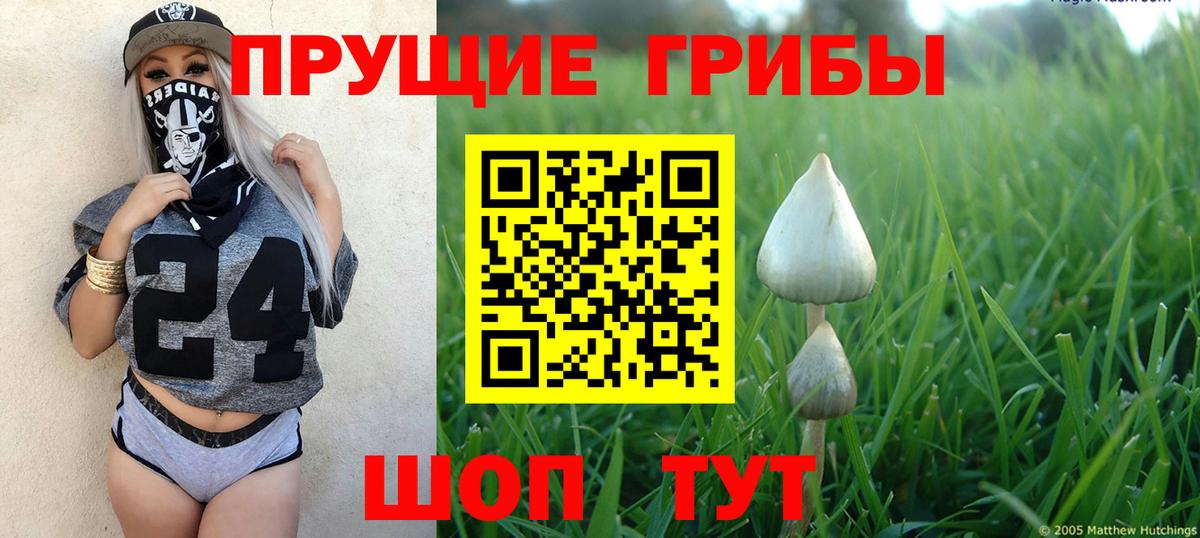 Псилоцибиновые грибы Magic Shrooms Аша